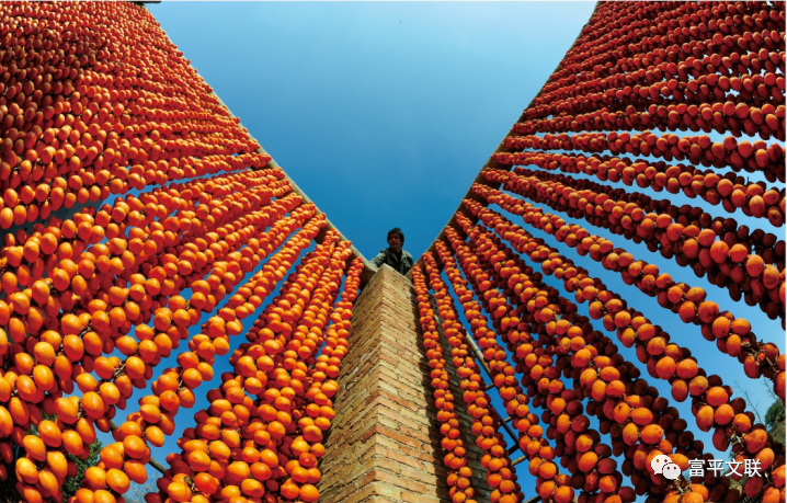 “靖和杯·富平柿饼 甜蜜中国”摄影大赛作品二